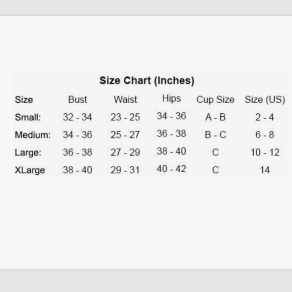 STARLINE Women's 3 Piece Black Pearl Pirate Costume Halloween Size L NWT - Picture 4 of 4